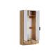 Шкаф ШК-002 Ивис