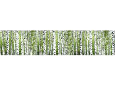 Фартук с фотопечатью Березы FM23