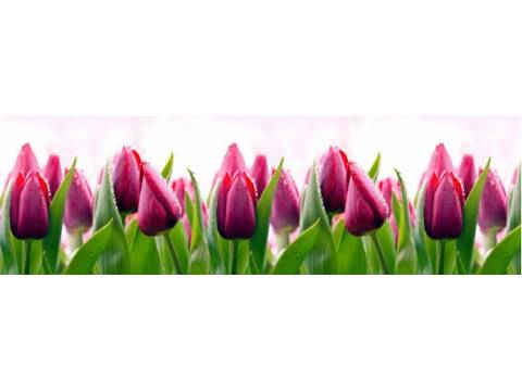 Кухонный фартук Тюльпаны  3,0 м.