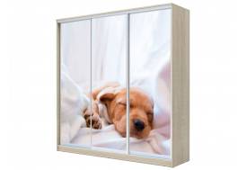 Шкаф-купе Хит 22-20-777