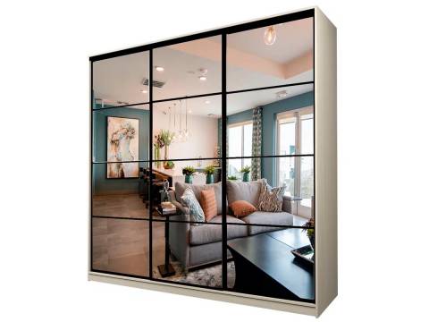 Шкаф-купе Max МШ-23-6-24/2-555