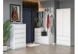 Модульная прихожая Айден