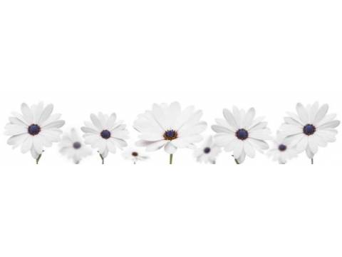 Фартук с фотопечатью Цветы SP232